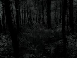 Fgrdpfg145