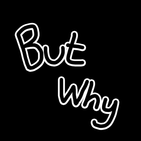 File:ButWhy.png
