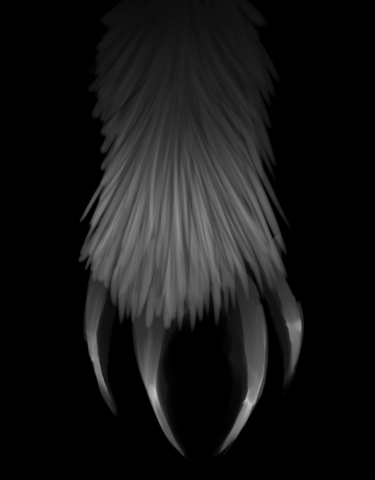 Datei:Claw.png