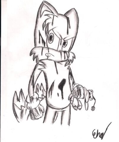 File:Tails.jpg