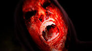 Screecher