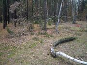 Ulica Duchna.jpg