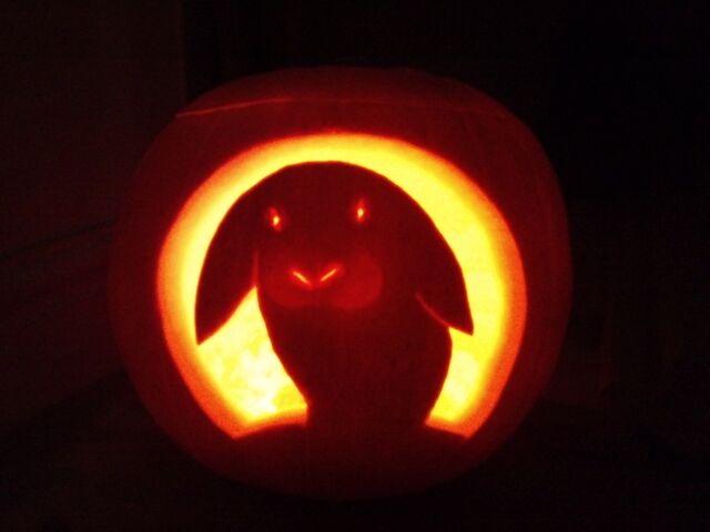 File:Rabbit-halloween-jacko-lantern.jpg