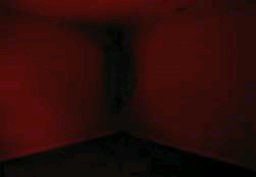 Corner