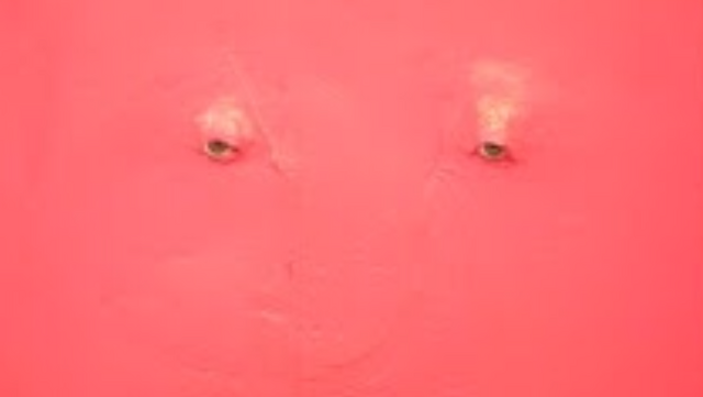 File:Pinky Pinky.png