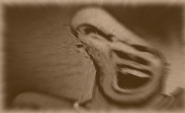 File:Frtyu.png
