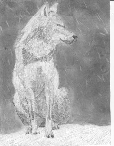 File:Alex sketch.jpg