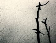 Snag tree