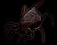 SCP 058