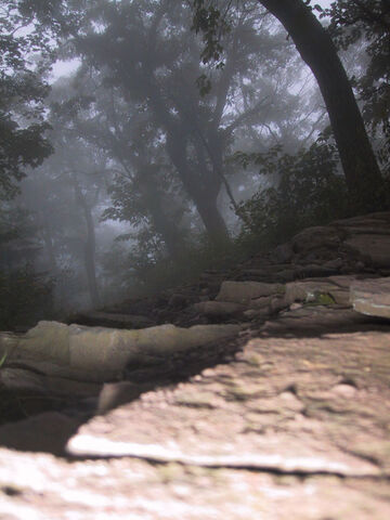 File:Pshot33.jpg