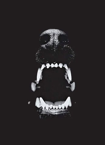 File:Grrr....jpg