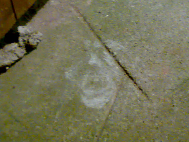 File:02082010849.jpg