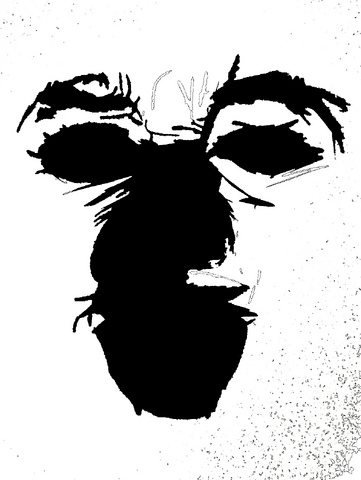 File:True inkblot.png