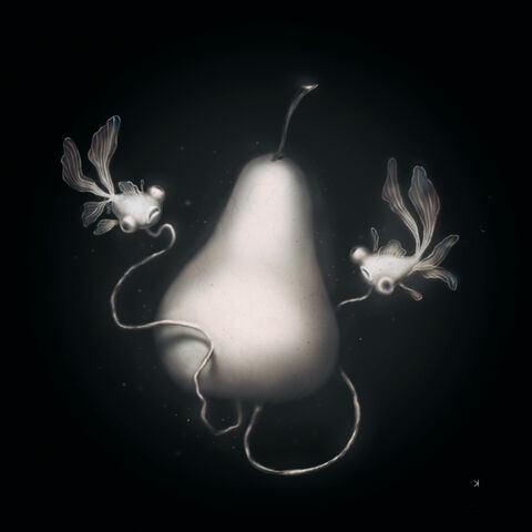File:Bizarrefruit.jpg