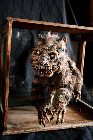 File:Creepy cheshire cat 4.jpg