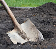 Digging grave