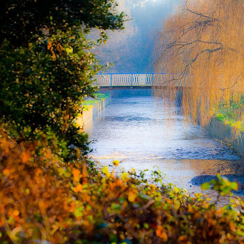 File:Misty morning.jpg