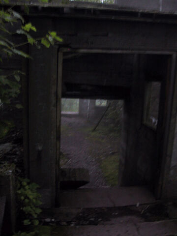 File:Pshot15.jpg