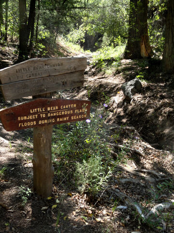 File:Bear-cyn-sign2.jpg