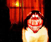 Smiledog.jpg