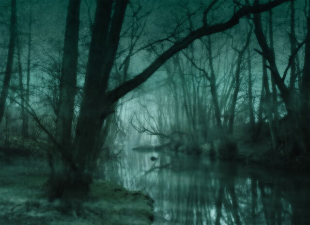 File:DarkSwamp.jpg