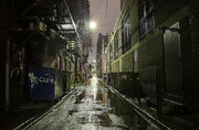 AlleyWhereTheVoiceWas