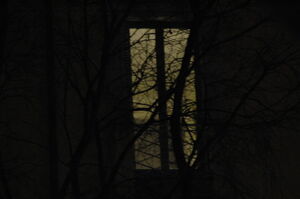 Dark window by ickyfrog-d35i5fm
