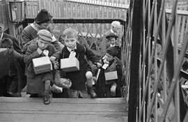 Evacuees theme3