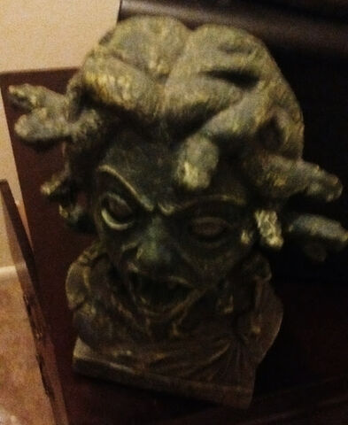 File:Medusa Head.jpg