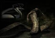 Snake man