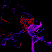 Drache