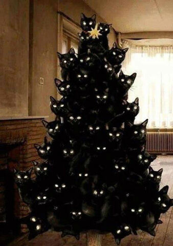 File:Crazy-cat-lady-christmas-tree.jpg