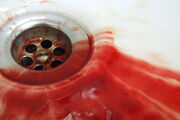 Lolblood