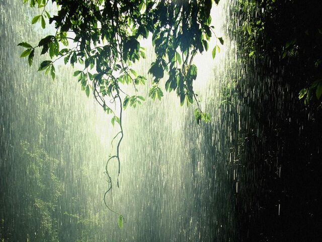 Arquivo:Its-raining2.jpg