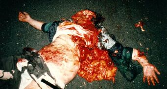 Roadkill.jpg