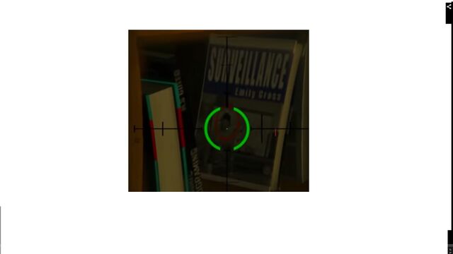 Arquivo:Surveillance.jpg