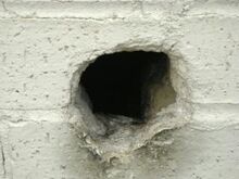 Scp-1162