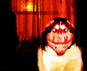 Smiledog.jpg