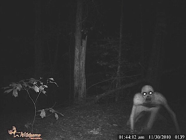 File:The Rake.jpg