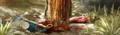 Thumbnail for version as of 15:44, June 4, 2014