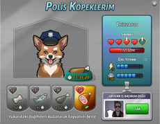 KöpekEviGörünüm.png