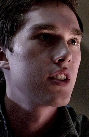 File:Matt Franks.jpg