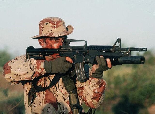 File:M4 Usage.jpg