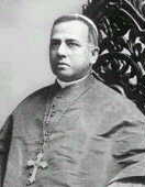 Cardinalarcoverde.jpg