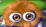 File:Gobbo.png