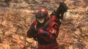 Spartan romeo 037