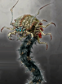 Scolopendra2