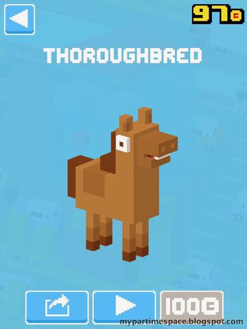 File:Thoroughbred.jpg
