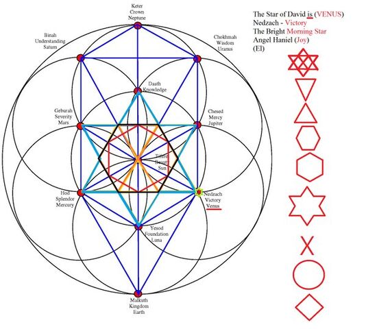 File:TreeofLifeandDavid.jpg