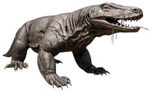 Megalania 12-588x359